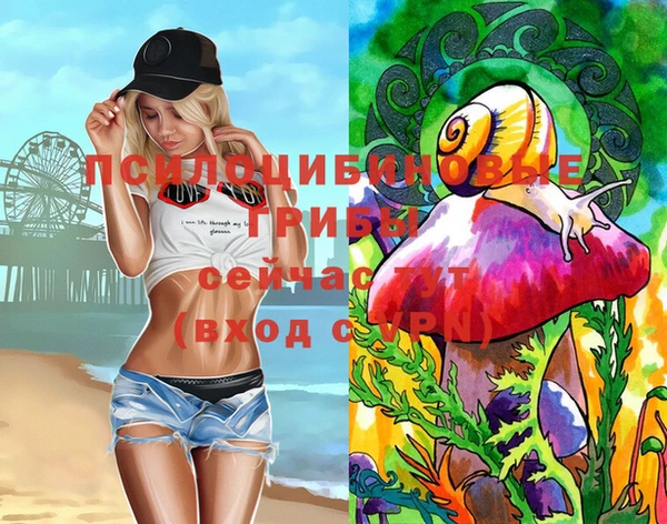 spice Лабытнанги