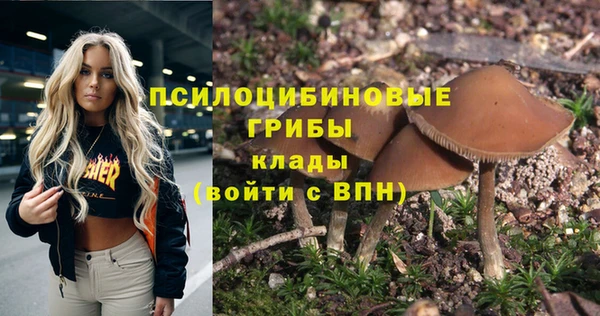 spice Лабытнанги